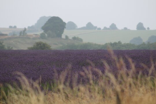 Tour image 11
